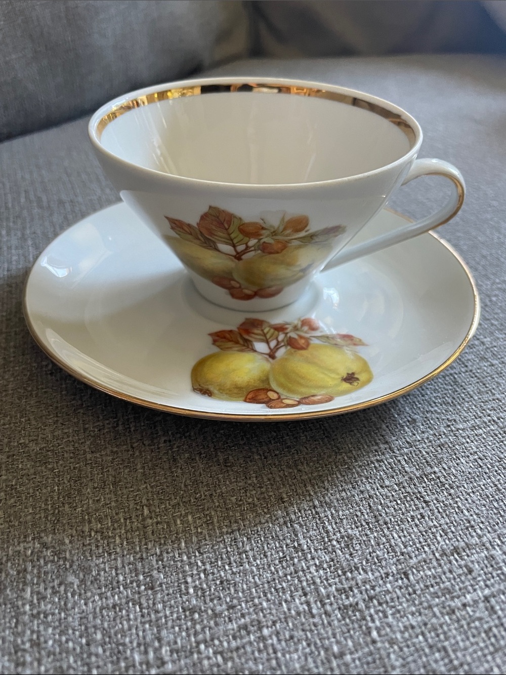 Bareuther Waldsassen Bavarian  Teacup and Saucer Set Fruit design and Gold Trim